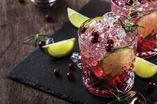 Cranberry Gin Fizz Cocktail