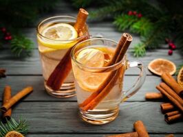 Hot Toddy Cocktail with cinnamon sticks, lemons and pine boughs in the backgroundPicture